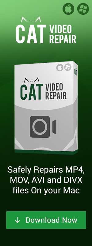 Video Repair Software